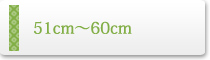 51cm��60cm